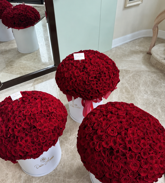 Paquete 3 cilindros 300 rosas