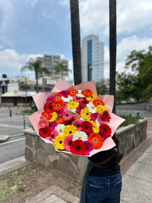 Ramo gerberas (50)