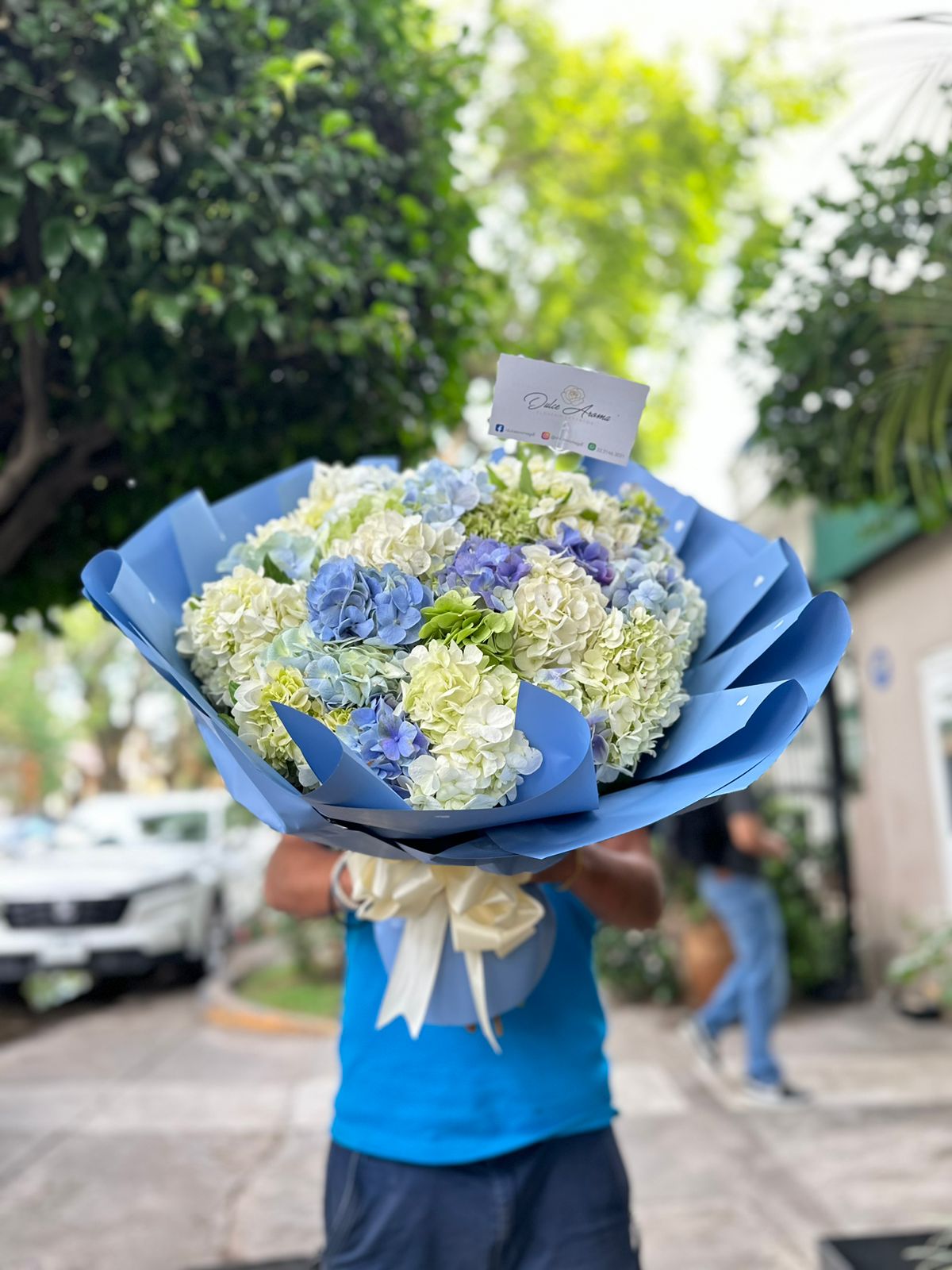 Bouquet grande de hortensias