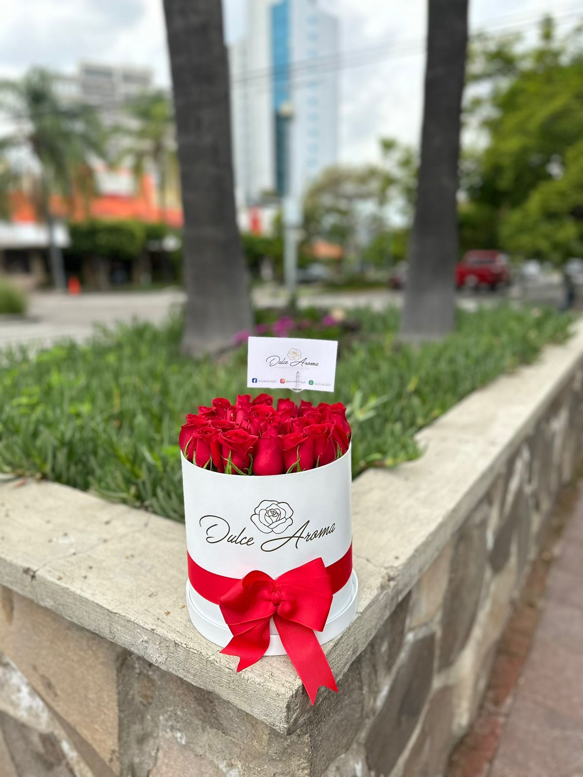 Cilindro mediano pave