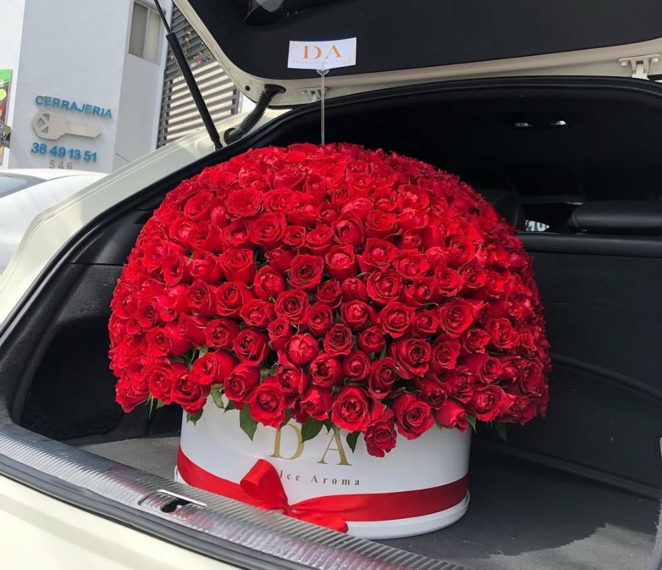 Cilindro Grande Topiario (500)