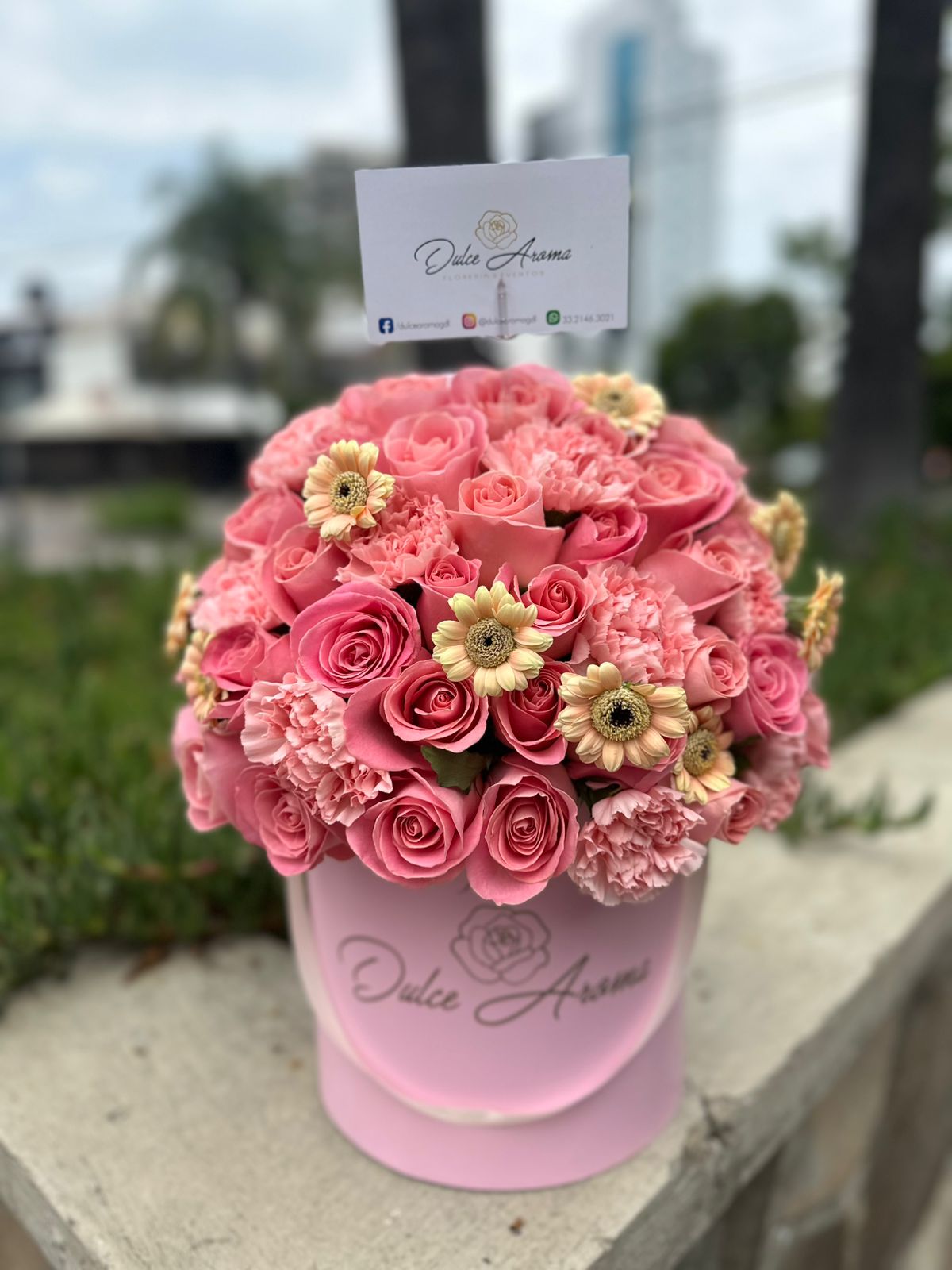 Cilindro Pink