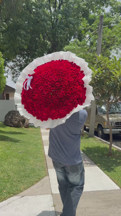 Ramo 500 rosas