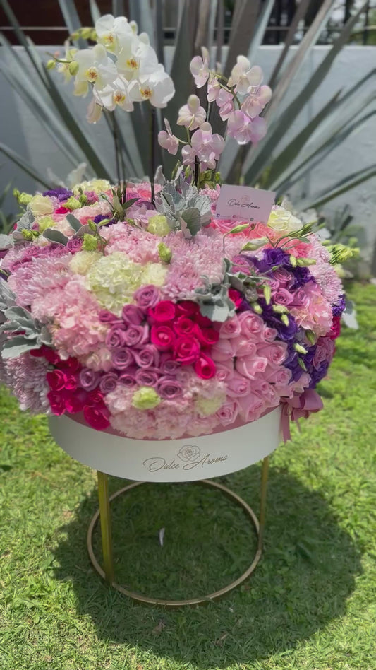 Arreglo Siempre Contigo Orquideas