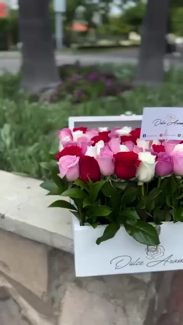 Cofre rosas rosas Pave chico